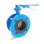 Ductile Iron Double Flanged Butterfly Valve