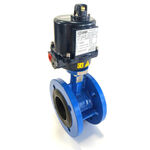Ductile Iron Double Flanged Electric Butterfly Valve