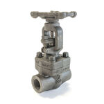 Class 800 Forged Steel Gate Valve