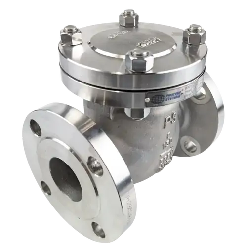 Flanged Stainless Steel Swing Check Valve